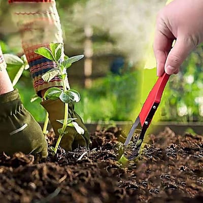 Handmatige Onkruidwieder - Onkruidsteker Tuin - Onkruid Verwijderen - Ijzeren Hoepel Blad - 25 x 5 cm - Niet gespecificeerd