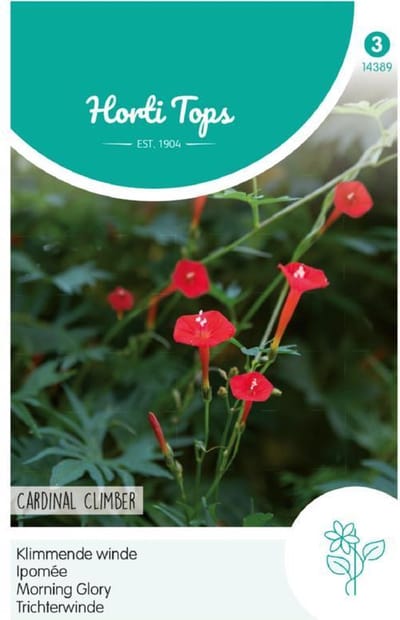Hortitops Zaden - Kardinaalswinde Rood (Ipomoea quamoclit)