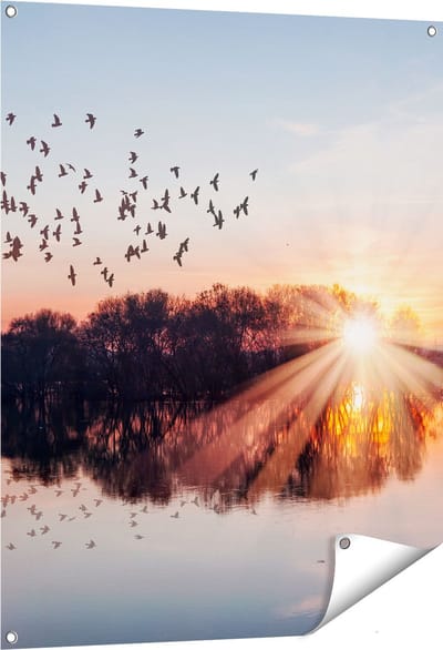 Gards Tuinposter Groep Vogels Boven de Meer met Zonsondergang - 80x100 cm - Tuindoek - Tuindecoratie - Wanddecoratie buiten - Tuinschilderij