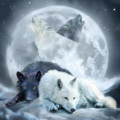 5D DIY Diamond schilderij  Wolf & Maan  borduurwerk kruissteek mozaïek strass decor 20X30CM gray
