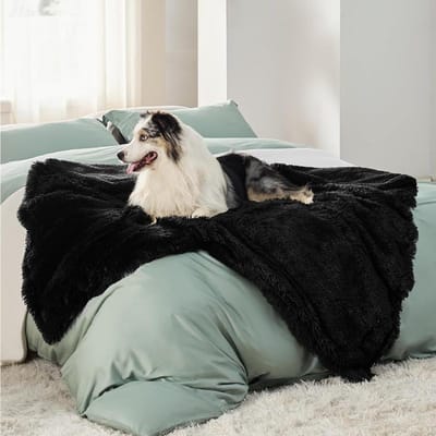 1 pièce Couverture Populaire Longue Peluche PV Velours Sherpa Animal de Compagnie Imperméable Chaude Couverture Chien Tapis Épaissi Tapis de Chenil 50x70CM gray