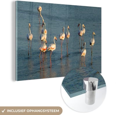 ® Glasschilderij 180x120 cm - Schilderij acrylglas - Flamingo's in het Nationaal park Doñana in Spanje - Foto op glas - Muurdecoratie woonkamer - Wanddecoratie slaapkamer - Schilderijen