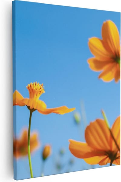 Artaza Canvas Schilderij Cosmea Bloemen - 40x50 cm - Wanddecoratie Bloemen - Schilderijen Op Canvas Woonkamer