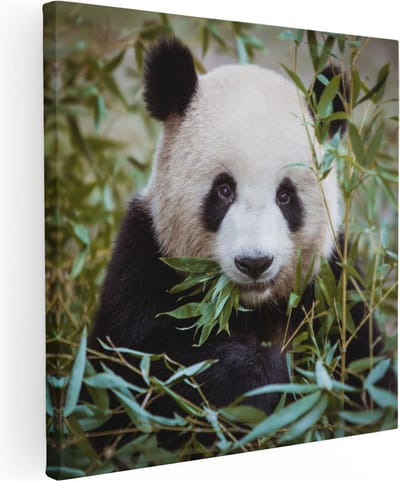 Artaza Canvas Schilderij Dieren - 30x30 cm - Klein - Wanddecoratie Panda - Muurdecoratie Jungle - Kamer Accessoires