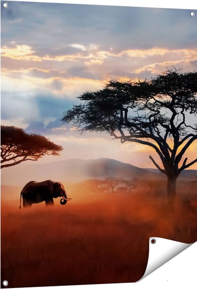 Gards Tuinposter Olifant in het Wild - Savanne - 80x100 cm - Tuindoek - Tuindecoratie - Wanddecoratie buiten - Tuinschilderij