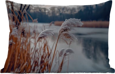 Buitenkussens - Riet - Gras - Natuur - Winter - Meer - 60x40 cm - Weerbestendig