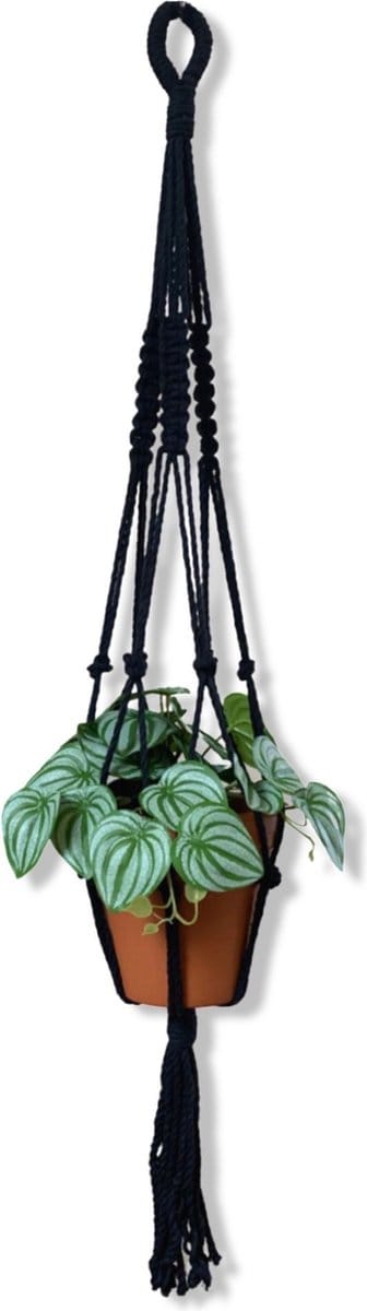 Plantenhanger 'Squared' Zwart - 100 cm lang - Katoenkoord - Geschikt voor Pot met Diameter t/m 25 cm - Handgemaakt in ons Macramé Atelier - Prijs per Stuk - Let op: Exclusief Pot - Inclusief Verzendkosten