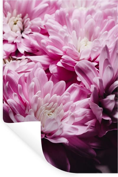 Muurstickers - Sticker Folie - Bloemen - Roze - Natuur - 20x30 cm - Plakfolie - Muurstickers Kinderkamer - Zelfklevend Behang - Zelfklevend behangpapier - Stickerfolie