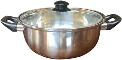 Friteuse roestvrij staal 26 cm met glazen deksel - geschikt voor inductie, oven en alle warmtebronnen
