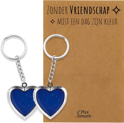BFF Sleutelhanger voor 2 'Zonder Vriendschap mist een dag zijn kleur' - Medaillon verandert van kleur - Sleutelhanger set op Cadeau Kaartje - Zilverkleurig - Vriendschap Symbool - Pax Amare