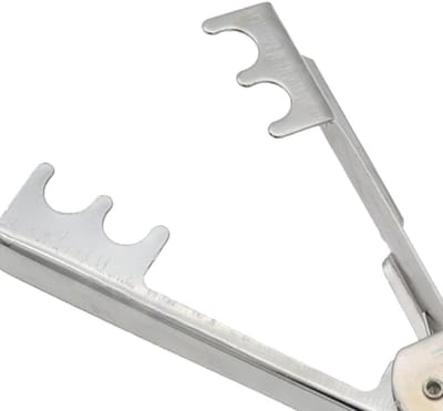 Bloemist Doorn Stripper - Metaal Tool - Bloemen Schoonmaken - Veer Mechanisme - 14 cm - Zilver
