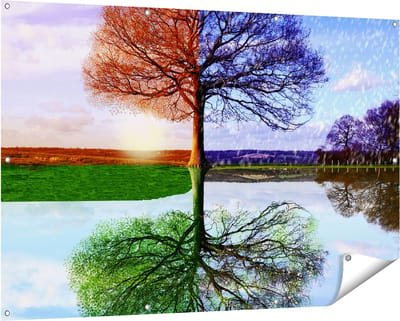 Gards Tuinposter Vier Seizoenen Boom - 150x100 cm - Tuindoek - Tuindecoratie - Wanddecoratie buiten - Tuinschilderij