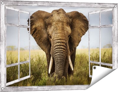 Gards Tuinposter Doorkijk Olifant in het Wild - Kleur - 90x60 cm - Tuindoek - Tuindecoratie - Wanddecoratie buiten - Tuinschilderij