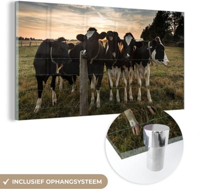 MuchoWow® Glasschilderij 40x20 cm - Schilderij acrylglas - Dieren - Koe - Koeien - Foto op glas - Schilderijen