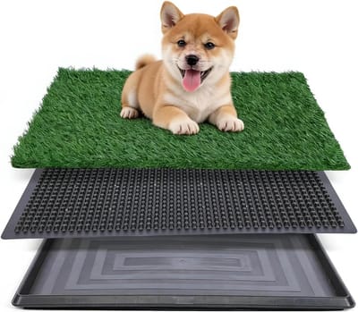 Premium Kunstgras Hondentoilet voor Kleine Honden, Herbruikbare Training Mat voor Binnen en Buiten, 40 x 50 cm, Ideaal voor Puppy Training en Gemakkelijke Onderhoud