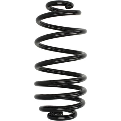 Chassisveer MAGNUM TECHNOLOGY SX197MT