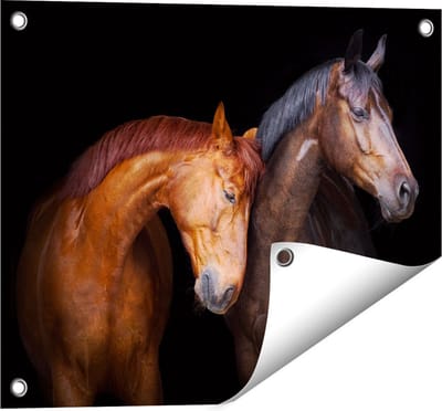Gards Tuinposter Twee Bruine Paarden Koppel - Liefde - 50x40 cm - Tuindoek - Tuindecoratie - Wanddecoratie buiten - Tuinschilderij