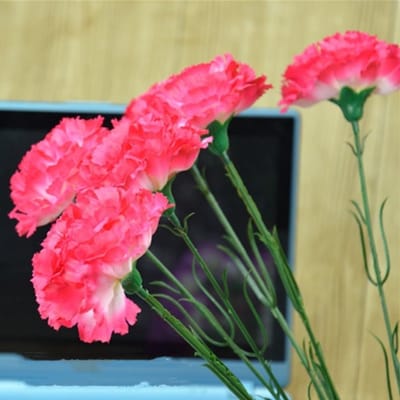 12 Stuks Kunstbloemen Boeket met Anjers en Hortensia voor Bruiloft, Thuis, Tuin en Kantoor Decoratie (Rood)