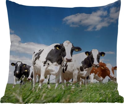 Sierkussen Buiten - Koeien - Platteland - Weiland - Natuur - Dieren - 60x60 cm - Weerbestendig