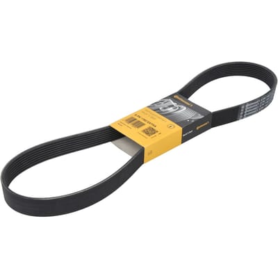 Continental Ctam V-riem CONTINENTAL 8PK1162 EXTRA
