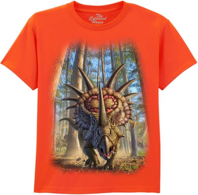 KIDS Dino Styracosaur The Coloured House KIDS T-shirt XL