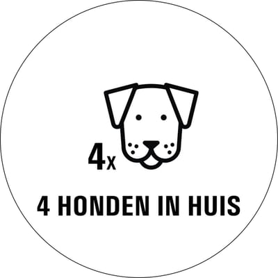 Honden in huis sticker - 80 x 80 mm 4