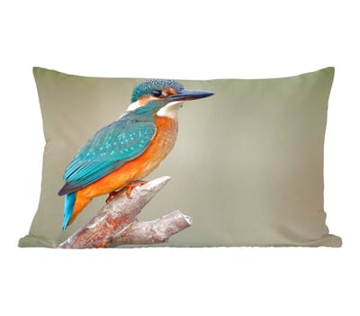 Sierkussens - Kussentjes Woonkamer - 50x30 cm - Vogel - IJsvogel - Tak