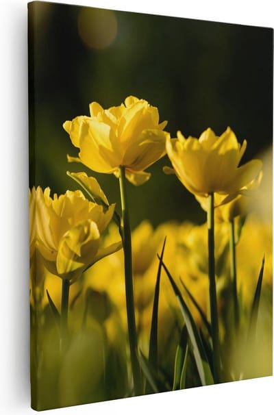 Artaza Canvas Schilderij Tulpen - 40x50 cm - Wanddecoratie Bloemen - Muurdecoratie Voorjaar - Kamer Accessoires