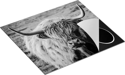 Chefcare Inductie Beschermer Schotse Hooglander Koe - Zwart Wit - 60x50 cm - Afdekplaat Inductie - Kookplaat Beschermer - Inductie Mat