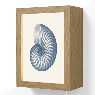 Wandlamp 15x20 cm - Oplaadbaar - Blauw - Schelp - Spiraal - Wandlampen binnen woonkamer - Slaapkamer lamp met kabel - Decoratieve nachtlamp - Vloerlamp snoer