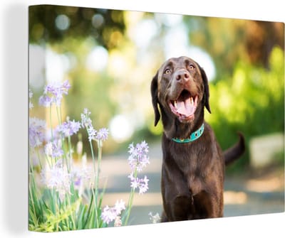 Canvas Schilderij Een Labrador Retriever met mooie bloemen - 120x80 cm - Wanddecoratie