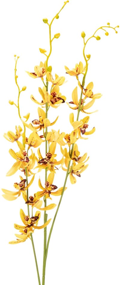 Kunstmatige Cymbidium-orchidee als bloemstengel voor elegante decorati
