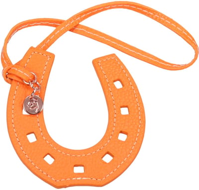 Epplejeck Sleutelhanger Epplejeck Ejhoefijzer Colour Oranje