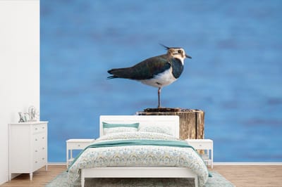 Behang - Fotobehang Vogel - Dieren - Paal - Blauw - Kievit - Breedte 330 cm x hoogte 220 cm