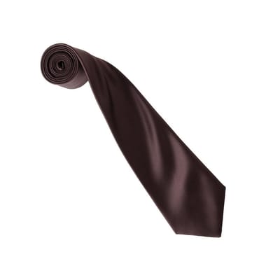 Premier Kleurencollectie Satijnen Stropdas (Bruin)
