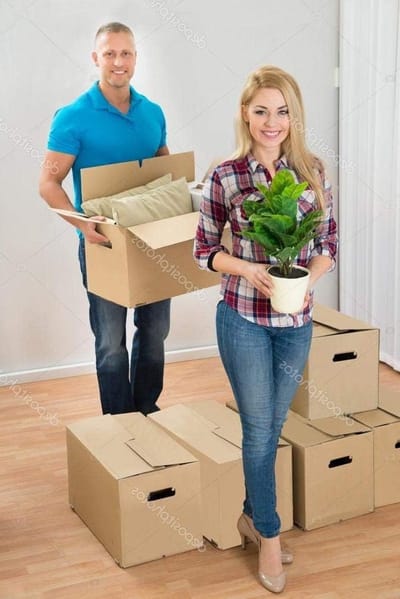 Verhuisdozen Dubbelgolf - Verhuisboxen Opslag - Veilig Verhuizen - Versterkte Handgrepen - 20 stuks 45x35x30 - Bruin