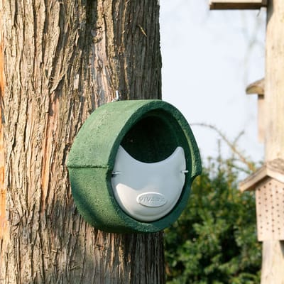 CJ Wildlife Nestkast - Aanbevolen door de Vogelbescherming Nederland - Alicante - Nestkastje voor o.a. Roodborst, Zanglijster & Winterkoning - Woodstone Vogelhuisje - FSC-gecertificeerd - Groen