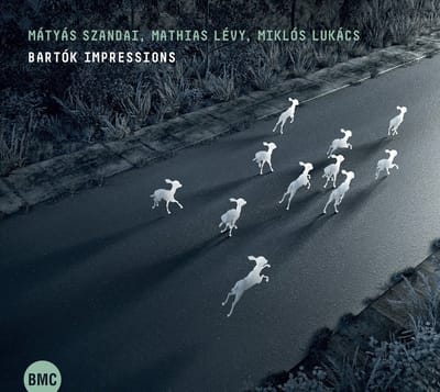Mátyás Szandai, Mathias Lévy, Miklós Lukács - Bartók Impressions (CD)
