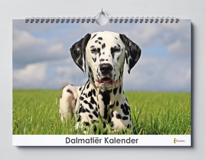 Dalmatiër Kalender - Verjaardagskalender - 35x24cm - Wandkalender