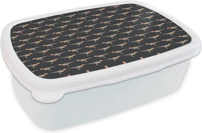 Broodtrommel Wit - Lunchbox - Brooddoos - Jongens - Patroon - Dinosaurussen - 18x12x6 cm - Volwassenen