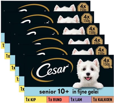 Cesar Hondenvoer - Senior 10+ - Mix in Gelei - Kuipjes - 24x150g