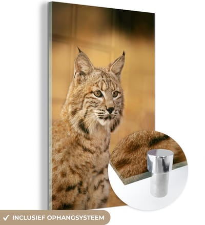 MuchoWow® Glasschilderij 40x60 cm - Schilderij acrylglas - Lynx - Bruin - Gras - Foto op glas - Schilderijen