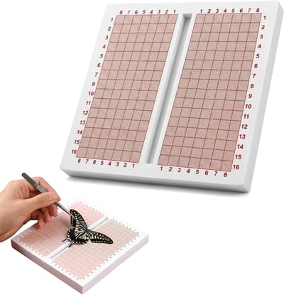 Vlindervoorbereidingsplank met rooster voor insectenspreidplank, entomologie en vlindertentoonstellingen, 15 x 15 x 2 cm, ideaal voor verzamelaars en educatieve doeleinden