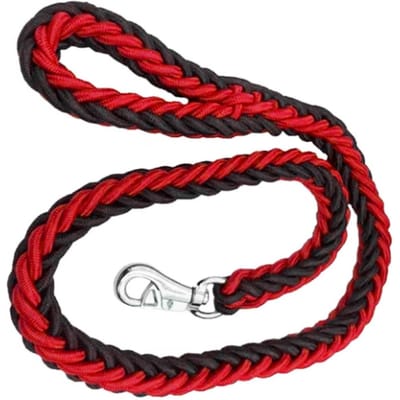Laisse pour chien robuste épaissie résistante aux morsures en nylon laisse de traction pour animal de compagnie pour chien moyen promenade entraînement 4,2 pieds M noire rouge