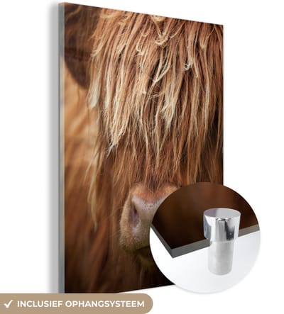 MuchoWow® Glasschilderij 90x120 cm - Schilderij acrylglas - Schotse Hooglander - Neus - Haar - Foto op glas - Schilderijen