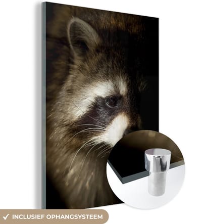 MuchoWow® Glasschilderij 120x160 cm - Schilderij acrylglas - Wasbeer - Wilde dieren - Zwart - Foto op glas - Schilderijen