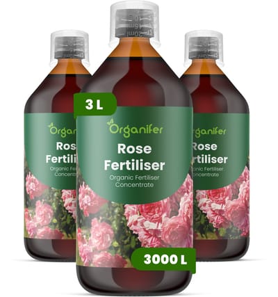 Vloeibare Meststof Voor Rozen 3X1 L Voor 3000 L - Npk 3-4-3 - Ondersteunt Krachtige Groei En Continue Bloei Bij Rozen - Stimuleert Knopvorming En Grotere Bloemen - Verbetert Bloemkleurintensiteit En Verlengt De Bloeiduur - Organifer