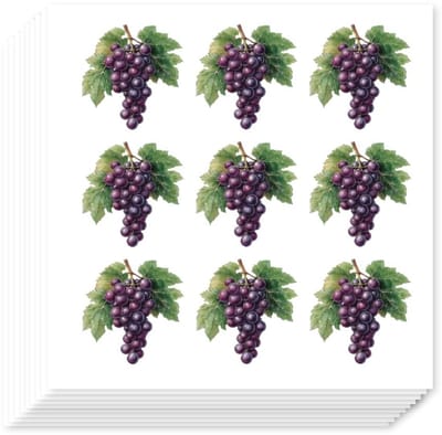 Dailygoods- Fruitstickers 180 Stuks - Druiven Stickers - Zelfklevende Labelstickers - Papieren Stickers - Scrapbooking - Gemengde Kleur - 2,5 x 2,58 cm
