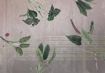 Fotobehang - Tropic Concrete 400x280cm - Vliesbehang