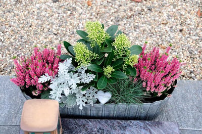 Siergrind Tuin - Kleurrijk Grind - Tuin Decoratie - Natuurlijk Afgerond - 16-32 mm - Veelkleurig